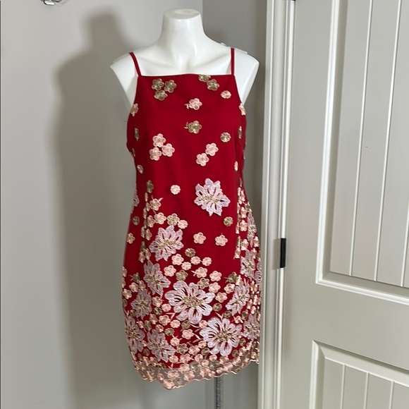 Free People x Backstage Australia Red Floral Dress Embroidered Lace Lined Sz M - Picture 3 of 15